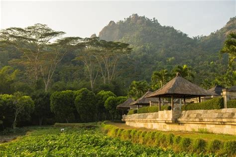 Amanjiwo, Borobudur - Compare Deals