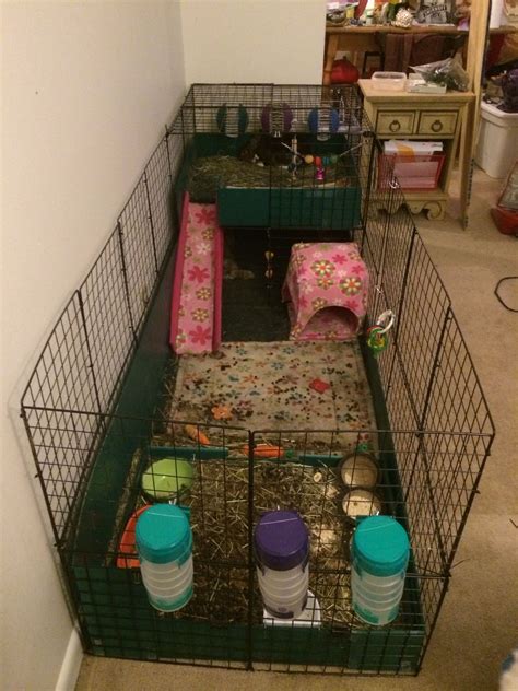 Indoor Rabbit Cage Xl at Abraham Liddle blog