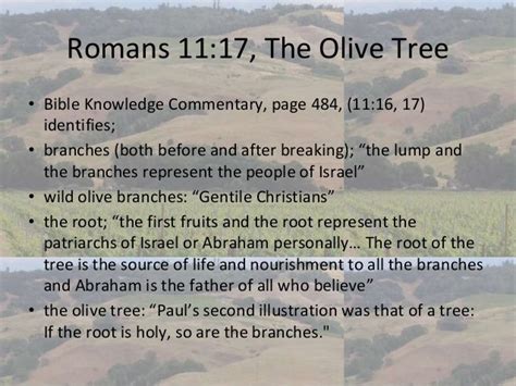 Romans Chapter 11, Replacement Theology, The olive tree, John Piper,