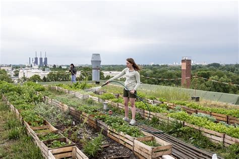 Malaysian company aims to solve food security through urban farming. Here's how. - Culture