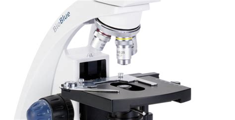 5 Best Microscopes for Viewing Trichomes (Reviews Updated 2020) - GigOptix