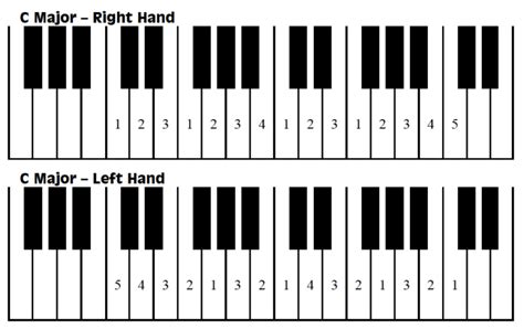 C Major Scale - Piano For Little Fingers