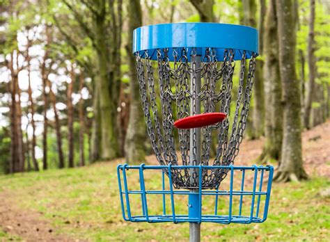 How to Play Disc Golf in Calgary - Avenue Calgary