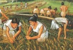 Neolithic Agricultural Revolution