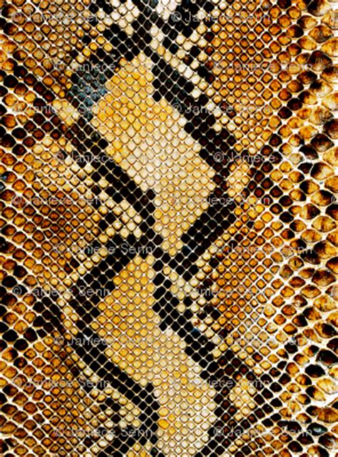 Rattlesnake Skin fabric - whimzwhirled - Spoonflower