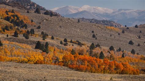 Hunting in Nevada | Electric Hunting Bike