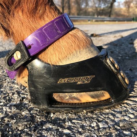 Buy Scoot Boots: Natural Hoof Boot for Round Barefoot Hooves