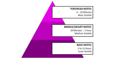 Perfume 101: The Anatomy of Perfume through Top, Heart & Base Notes | Lashes in the Lush