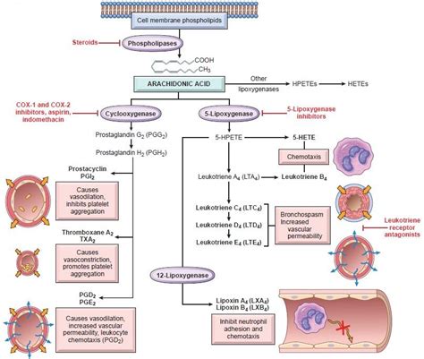 Mediators of Inflammation - Emedicodiary