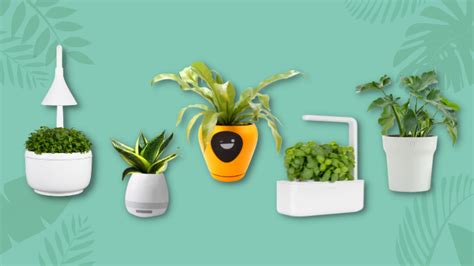 High-tech pots for plantitos and plantitas