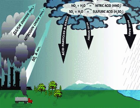 Outline The Process Of Acid Rain Formation