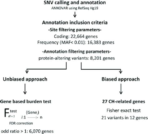 Analysis pipeline for whole-exome sequencing data of nonsyndromic-CHTD... | Download Scientific ...