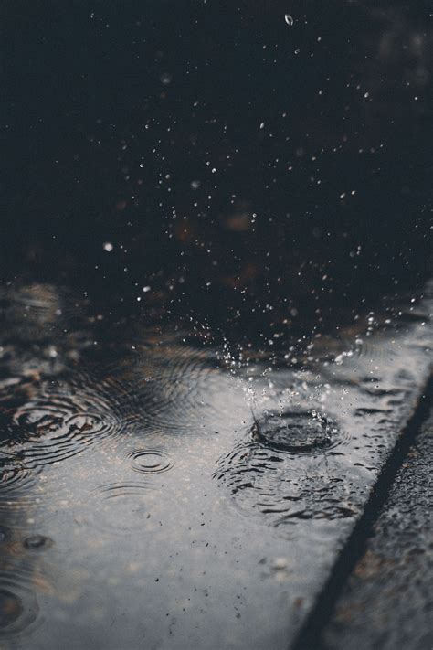 Rain Art Drops Splashing - Free photo on Pixabay - Pixabay