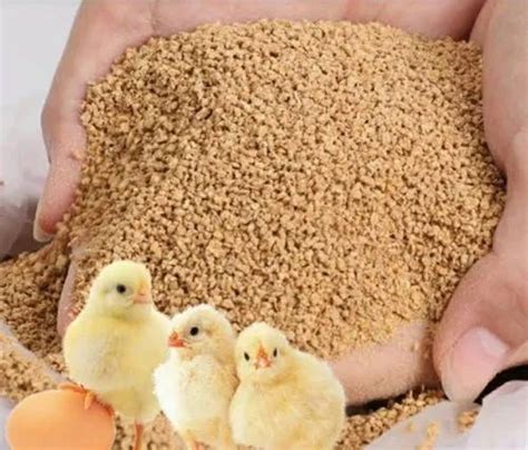 Poultry broiler chicken feed, Packaging Type: Plastic Bag at Rs 22 ...