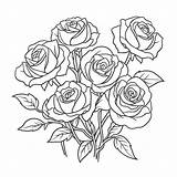 흰색 배경 개요 스케치 드로잉에 색상 색칠 페이지에 장미의 큰 그룹 벡터 장미 그림 그리기  sketch template