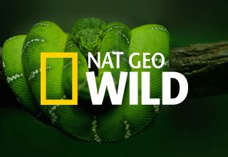 national geo wild natgeo wild - DriverLayer Search Engine