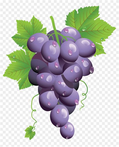 Grape Png Image - Grapes Png, Transparent Png - 2976x3526(#265020) - PngFind