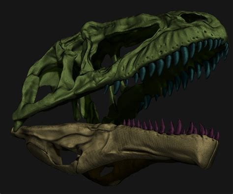 ArtStation - Giganotosaurus Skull Set Skeletons | Game Assets