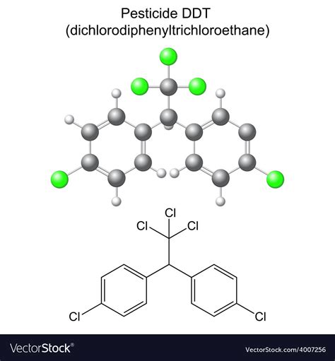 Structural chemical formula and model of ddt Vector Image