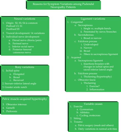 Symptom variations in pudendal neuropathy. | Download Scientific Diagram