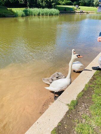 Princes Park (Liverpool) - 2021 All You Need to Know Before You Go (with Photos) - Liverpool ...