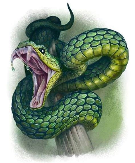 Pin by A R on BOSQUES LEGENDARY JAMESZOUSKY | Snake drawing, Snake sketch, Snake art