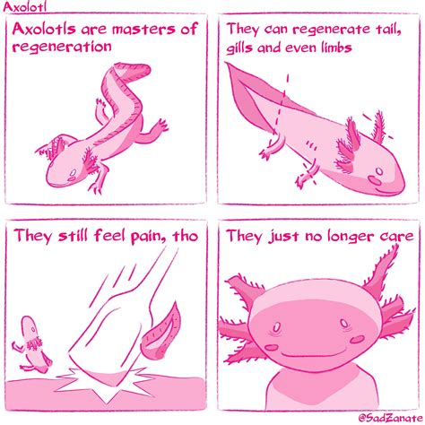 AXOLOTL [OC] : r/comics