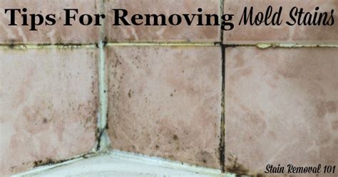 Mold Removal Stain Tips: Getting Rid Of Mold Stains