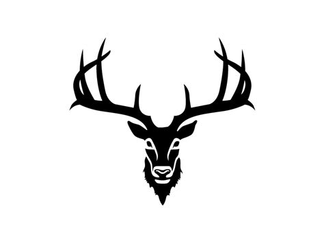 Whitetail Deer by Emily Lounsbury on Dribbble