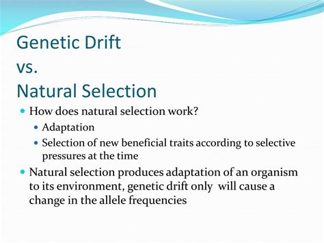 PPT - Genetic Drift PowerPoint Presentation, free download - ID:1737189