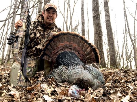 Best Turkey Hunting Shotguns of 2023 | Outdoor Life