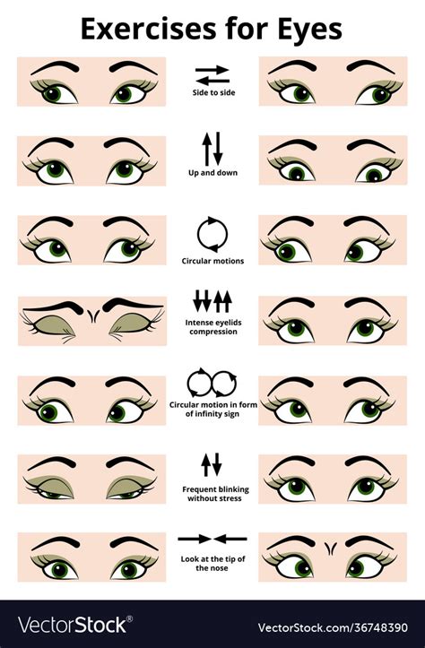 Exercises for eyes Royalty Free Vector Image - VectorStock