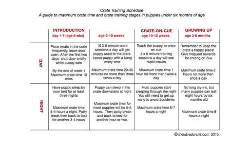 Crate Training Your Puppy in Easy Stages