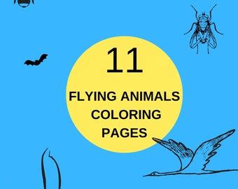 DIGITAL DOWNLOAD Zoo Animal Adult Coloring Book Pages Wild - Etsy
