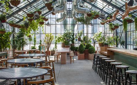 The Line Hotel Greenhouse - a beautifully lit interior with convertible ...