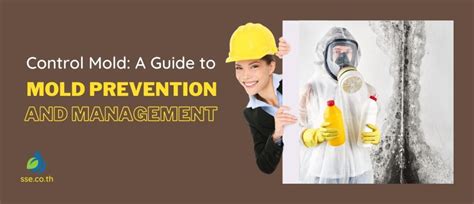 Control Mold: A Guide To Mold Prevention And Management