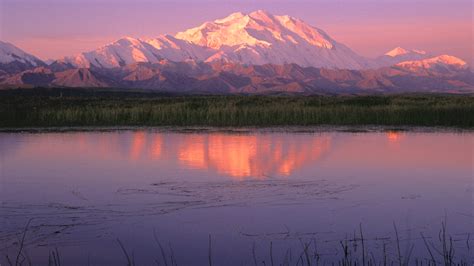 Alaska Hiking – Kenai to Denali | REI Co-op