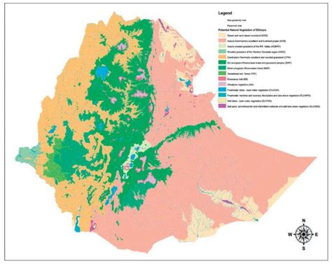 Ethiopian vegetation types, climate and topography