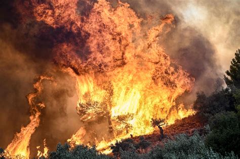 Greece fires: Greece firefighters find bodies of 18 people in forest as blaze continues | The ...