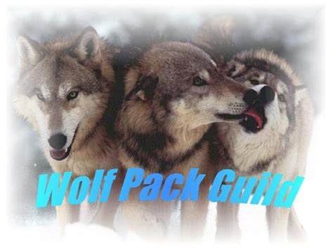 The Alaskan Wolf Pack's Webpage