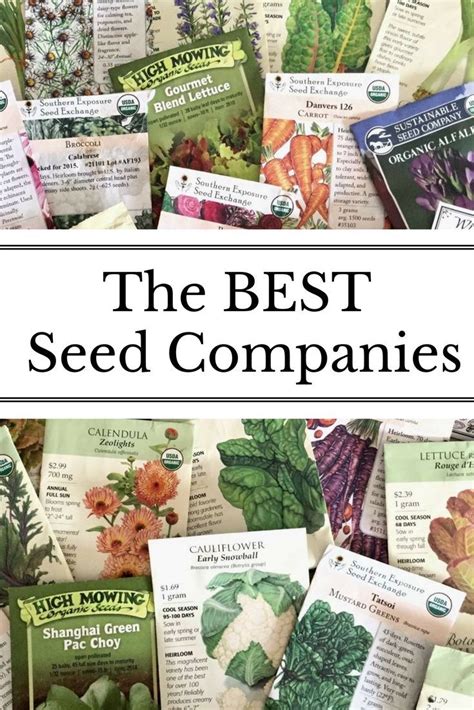 The Best Seed Companies | Nourishing Pursuits | Organic gardening tips, Seed company, Organic ...