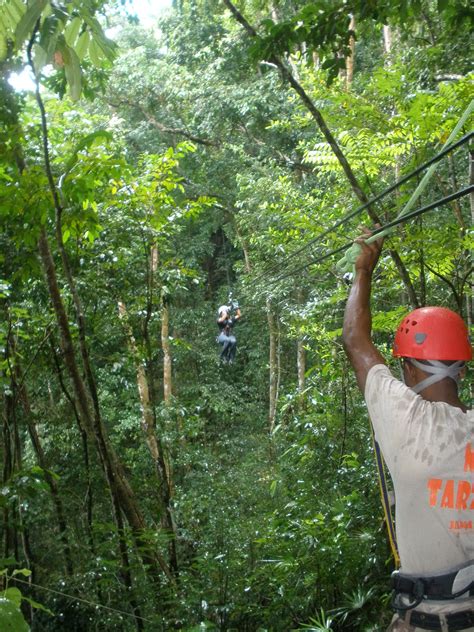 Zipline Canopy Tour (Chukka Caribbean Tour), Jamaica. Did this twice. Great fun! | Ziplining ...