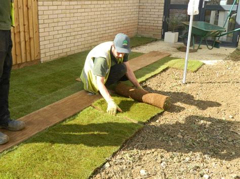 Westly shows how to lay turf | How to lay turf, Turf, Apprentice