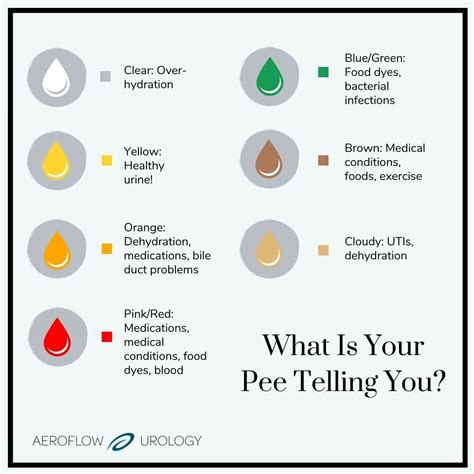 Are You Healthy? Find Out With This Urine Color Chart