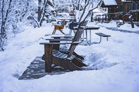 Colorado Bear Creek Cabins - Evergreen, United States of America - Best ...