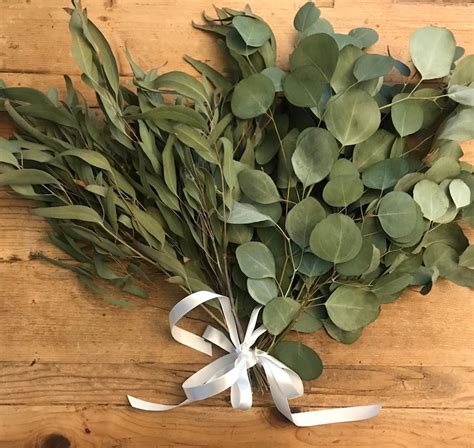 DRIED Eucalyptus Bouquets Duo Branches | Etsy