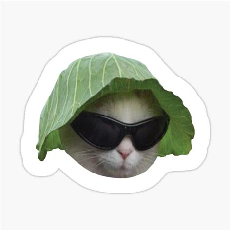 "Sunglasses Cat Meme #5 (White Outline)" Sticker for Sale by cat ...