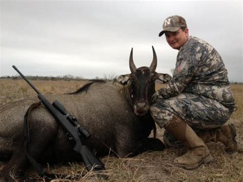 Guided Nilgai Hunting Texas | All Seasons Guide Service