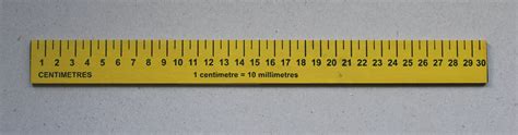 6 in ruler actual size save up to 50%