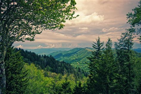 - Mountain Views SmokyMtnViews